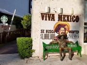009  Viva Mexico.jpg